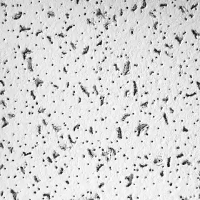 703B ARMSTRONG Cortega Ceiling Tile Angled Tegular