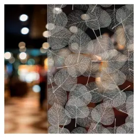 LLVV-WHLV-24007 BDF Window Film