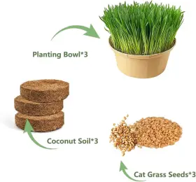 EF-48150 BOEN Cat Grass Seeds Growing Kit #2