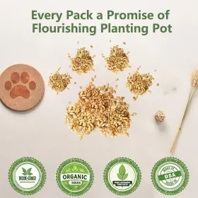 EF-48150 BOEN Cat Grass Seeds Growing Kit #3