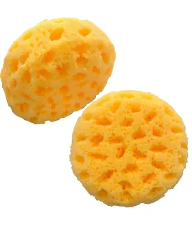 860005091508 BUILDER SUPPLY Knockdown Texture Sponge Wall