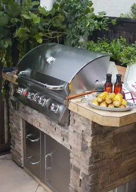 47628 BULL GRILLS Propane Angus Steel Grill #3