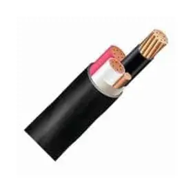 V63NM-100 CABLE CABANA Metallic Sheathed Electrical