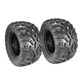 10731 CARLISLE Set Tires Ply