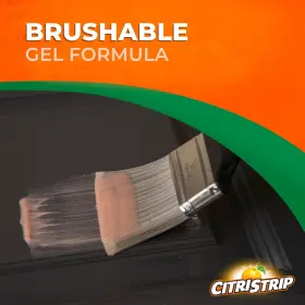751664008412 CITRISTRIP Stripping #3