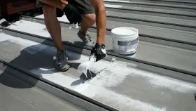736542980028 COUNTRYMAN COATINGS Silicone Waterproof Places #2