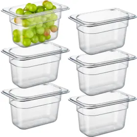 C194-KPA418 CURTA Pack Nsf Food Pans Polycarbonate Pl
