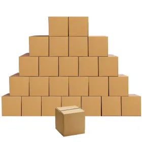 HIZX666 EDENSEELAKE Cardboard Pack