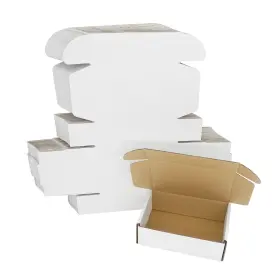 E-642-25-01 ELAZEKES Mailer Box Cardboard