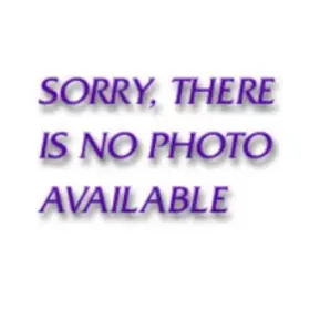 70008-43-1 EZ MIX Pint Disposable Mixing Cups Box