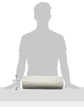 P1025-6W FROST KING Polyethylene Sheeting Mil #3