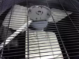 ACC19666 GOODMAN Central Air Conditioner Condenser #3