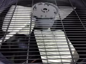 ACC19875 GOODMAN Central Air Conditioner Condenser #3
