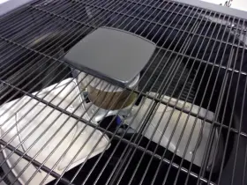 ACC20228 GOODMAN Central Air Conditioner Condenser #3