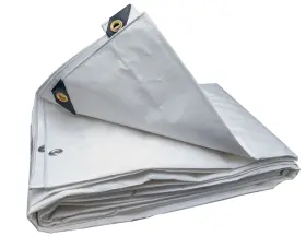 W10X10 HARPSTER TARPS Tarp