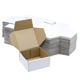 721295483810 KBG Cardboard Mailers Bu