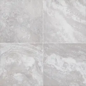 LPAVNARGTRA2424 MSI Square Exterior Patio Tile Argento #3