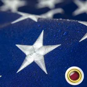 ND-00 NESSDOVE American Flag Weather