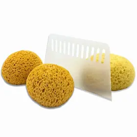 779880703027 PLATONEE Knockdown Texture Sponge Pack Drywall