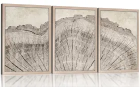 782690564535 QKYLUCK Tree Rings Panel