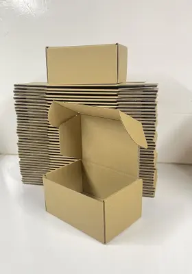 FJH-643-50 RONGYANGTONG Pack Mailer Cardboard Mail
