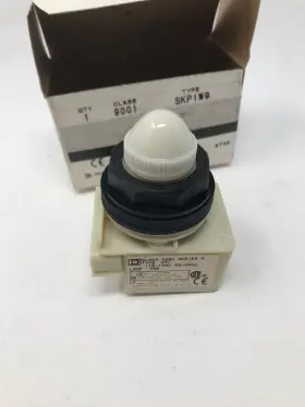 9001SKP1W9 SQUARE D Standard Pilot Light