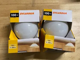G-40 SYLVANIA Incandescent Light Bulb Pendent Vanity