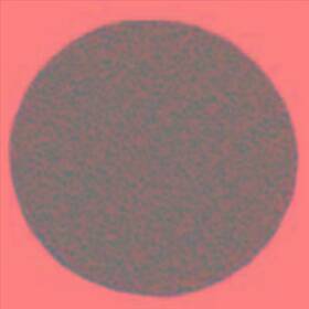 2R2AZZAP4136G THE MAIN RESOURCE Zirconia Disc