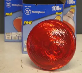 04410 WESTINGHOUSE LIGHTING CORP Floodlight Bulb