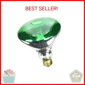 04413 WESTINGHOUSE LIGHTING CORP Volt Incandescent Light