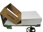 Lot Of 13 Certainteed Cm-454 Bioshield Ceiling Tile 2'x2'x3/4" 24"x24"x3/4". Fixed Price $18.00.