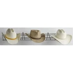 Rackem Racks 5906 Cowboy Hat Rack. Fixed Price $40.43.