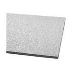 Armstrong 2910a Random Fissured Ceiling Tile, 24 In W X 48 L, Square Lay-in,. Fixed Price $428.99.