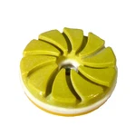 220 Grit 4 Inch Tenax Snail Lock Edge Polishing Disc. Fixed Price $69.90.
