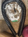 Nowball 1.5in Automotive Air Duct Hose. Car Garage Dryer System Silicone. Fixed Price $19.99.