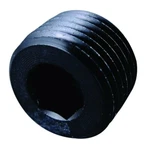 1/8" Npt Allen Head Pipe Plug 25 Pack 1/8 Inch Fitting Fastenal. Fixed Price $19.99.