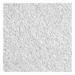 Armstrong 533b Ceiling Tile,48 In L,24 W,pk6 32wm82. Fixed Price $247.48.