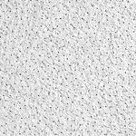 Armstrong 563e Ceiling Tile,24 In L,24 W,pk10 32wm92. Fixed Price $256.03.