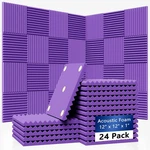 24 Pack Sound Proof Foam Panels 1" 12" Quick-recovery Soundproof W. Fixed Price $38.40.