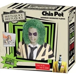 Chia Pet Beetlejuice Decorative Planter Clay. Fixed Price $49.08.