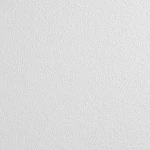 Armstrong 589bn Ceiling Tile,24 In L,24 W,pk12 5ngk4. Fixed Price $259.61.