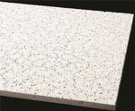 Armstrong 770 Ceiling Tile,24 In L,24 W,pk16 5ngj4. Fixed Price $100.00.