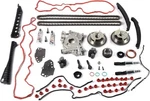 5.4l V8 Timing Chain Kit For Ford F150. Fixed Price $310.89.