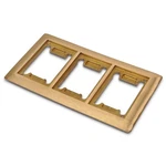 Thomas & Betts 3 Gang Brass Carpet Floor Plate P 64 3g Cp Steel City. Fixed Price $400.00.