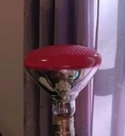 Fld Light Westinghouse Red Outdoor Bulb 100w Br-38 Standard Base Christmas. Fixed Price $9.50.