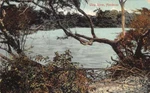 Honduras Ulna River Scenic View Vintage Postcard Aa61301. Fixed Price $12.75.