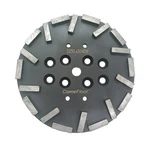 10 Inch Diamond Grinding Plate For Concrete Floor, 20 Segments Disc Compatibl.... Fixed Price $206.23.