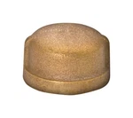 Thread Cap 1/2fpt Lf. Fixed Price $19.25.