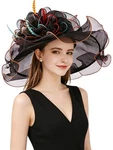 Z&x Women Organza Church Derby Hat Wide Brim Sun Hats For Wedding Tea Party F.... Fixed Price $47.45.