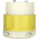 Leviton 2713-cy 30 Amp, 125/250 Volt, Nema L14-30r, 3p, 4w, Locking Connector,. Fixed Price $38.95.